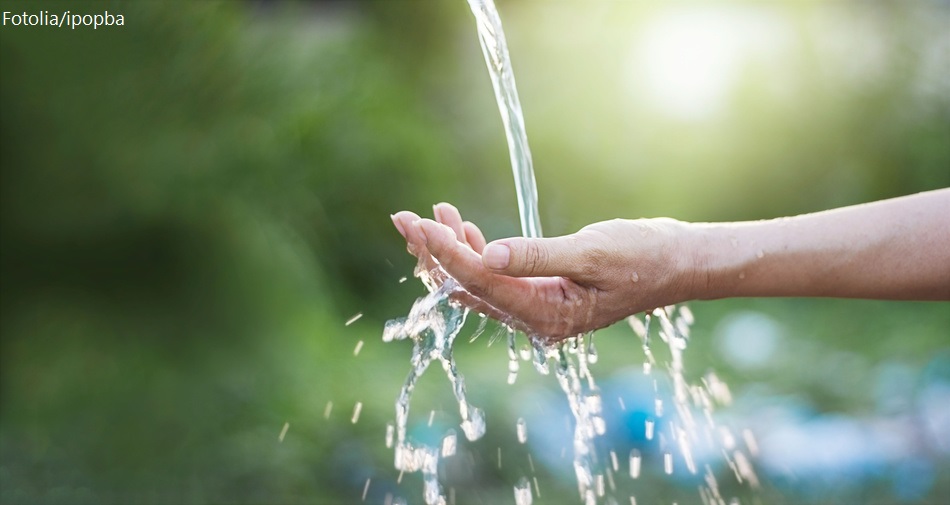 Read more about the article Peta: Gülle erhöht Wasserkosten