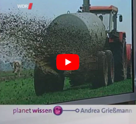 Traktor bringt Gülle aus auf das Feld